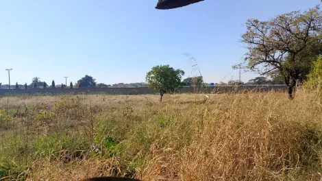 imagem 5 - Área com ótima localização, próximo a rodoviária. imagem 5 - Área com ótima localização, próximo a rodoviária.