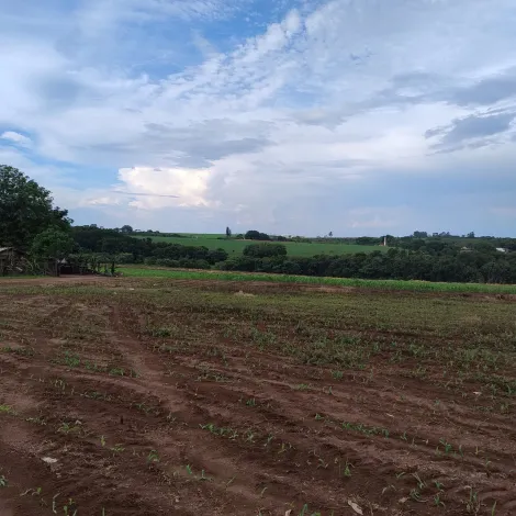 imagem 1 - SÍTIO À VENDA imagem 1 - SÍTIO À VENDA