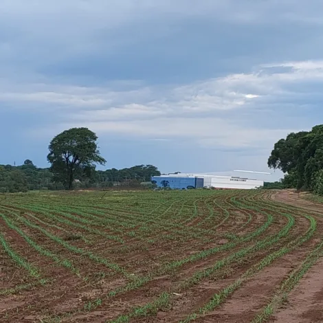 imagem 2 - SÍTIO À VENDA imagem 2 - SÍTIO À VENDA