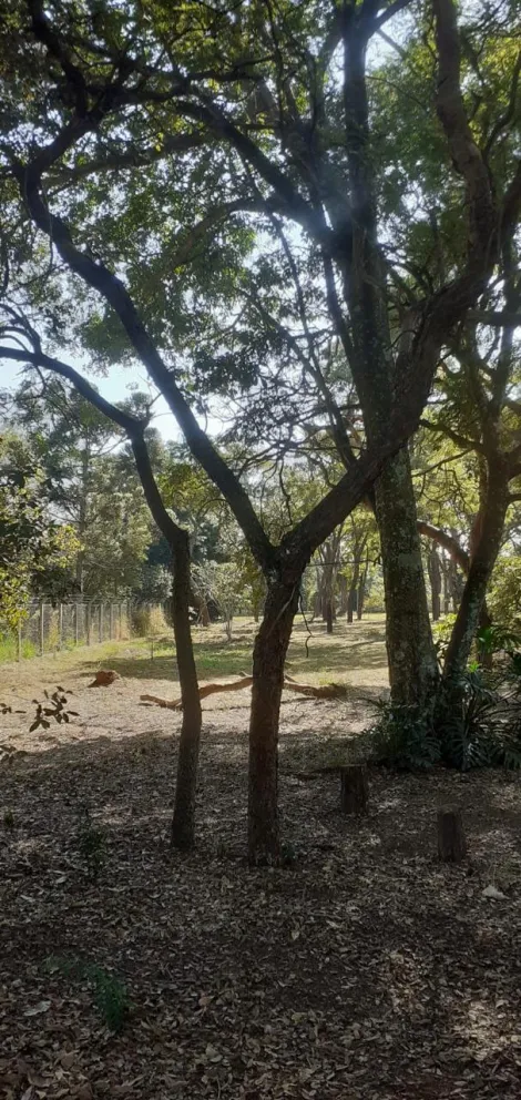 imagem 1 - TERRENO À VENDA imagem 1 - TERRENO À VENDA