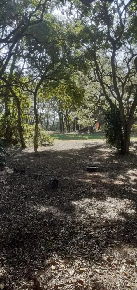 imagem 2 - TERRENO À VENDA imagem 2 - TERRENO À VENDA