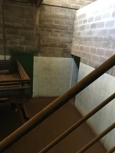 imagem 1 - Galpão novo de 180m² disponível para locação - Vila Albertina imagem 1 - Galpão novo de 180m² disponível para locação - Vila Albertina