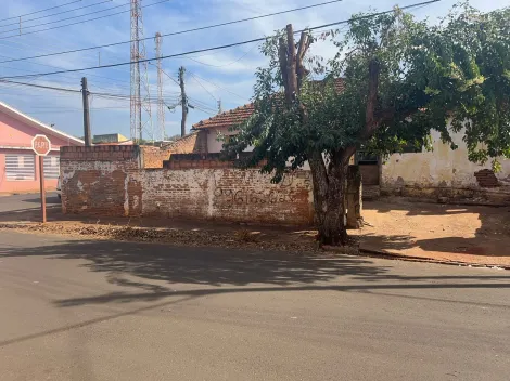 imagem 5 - Casa com excelente localização no centro, próximo à comércio. imagem 5 - Casa com excelente localização no centro, próximo à comércio.