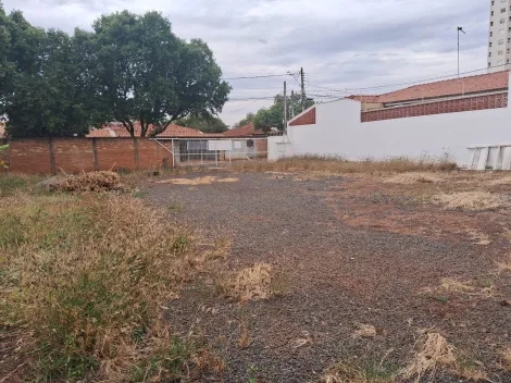 imagem 4 - Barracão com ótima localização, pé direito alto e doca. imagem 4 - Barracão com ótima localização, pé direito alto e doca.