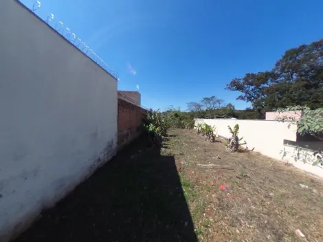 imagem 4 - Terreno plano e bem pronto para construir, localizado no bairro Jardim De Cresci. imagem 4 - Terreno plano e bem pronto para construir, localizado no bairro Jardim De Cresci.
