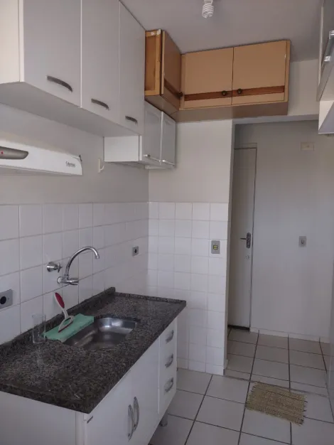 imagem 1 - Apartamento com 2 dormitórios para Locação em Campinas/SP - Ótimo Custo-Benefício imagem 1 - Apartamento com 2 dormitórios para Locação em Campinas/SP - Ótimo Custo-Benefício