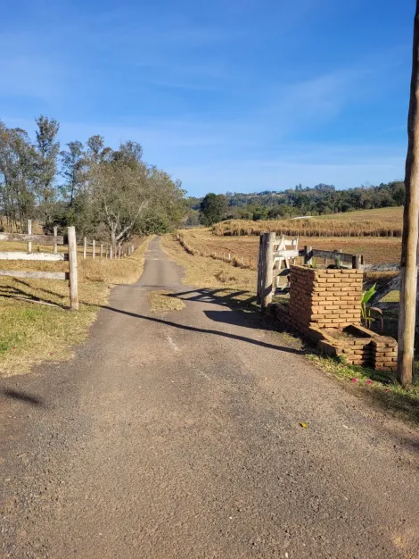imagem 4 - FAZENDA À VENDA imagem 4 - FAZENDA À VENDA
