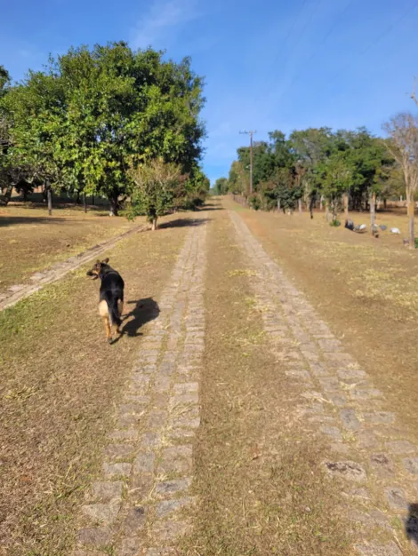 imagem 3 - FAZENDA À VENDA imagem 3 - FAZENDA À VENDA