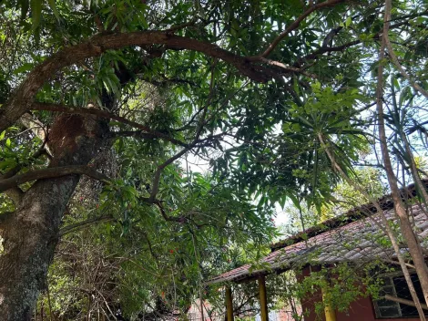 imagem 3 - TERRENO/CHÁCARA À VENDA imagem 3 - TERRENO/CHÁCARA À VENDA