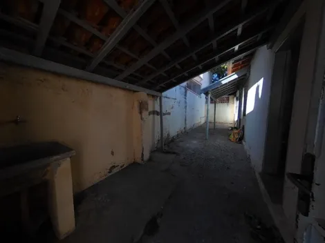 imagem 3 - Anúncio de Locação: Edicula no Bairro Vila Prado - São Carlos/SP imagem 3 - Anúncio de Locação: Edicula no Bairro Vila Prado - São Carlos/SP