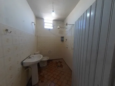 imagem 5 - Anúncio de Locação: Edicula no Bairro Vila Prado - São Carlos/SP imagem 5 - Anúncio de Locação: Edicula no Bairro Vila Prado - São Carlos/SP