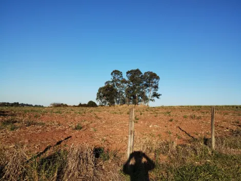 imagem 1 - Rural - Padrão imagem 1 - Rural - Padrão