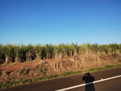 imagem 3 - Rural - Padrão imagem 3 - Rural - Padrão