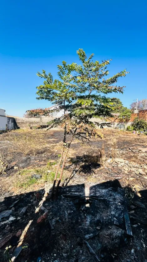 imagem 2 - TERRENO À VENDA imagem 2 - TERRENO À VENDA