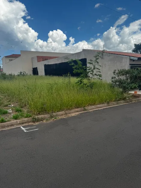 imagem 1 - Terreno - Padrão imagem 1 - Terreno - Padrão
