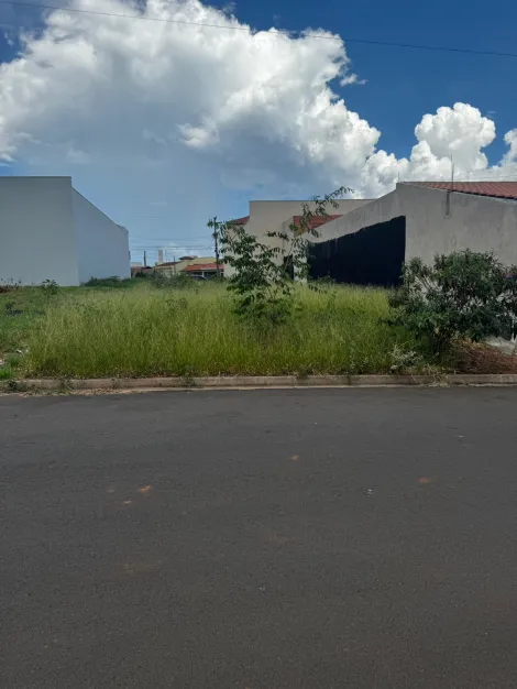 imagem 2 - Terreno - Padrão imagem 2 - Terreno - Padrão