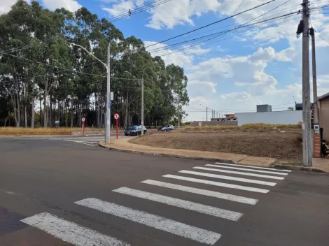 imagem 2 - TERRENO À VENDA imagem 2 - TERRENO À VENDA