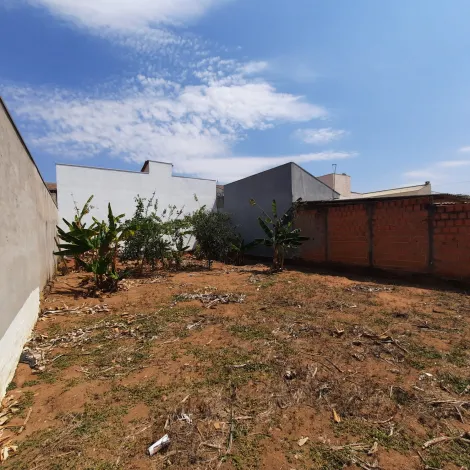 imagem 3 - TERRENO À VENDA imagem 3 - TERRENO À VENDA
