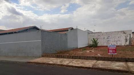 imagem 1 - Terreno com boa localização, próximo a escolas e creches. imagem 1 - Terreno com boa localização, próximo a escolas e creches.