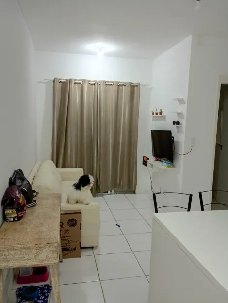 imagem 3 - Apartamento - Padrão imagem 3 - Apartamento - Padrão