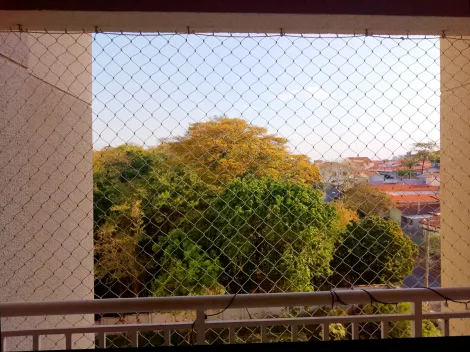 imagem 5 - Apartamento com 3 dormitórios à venda, 80 m² no Jardim Nova Europa em Campinas. imagem 5 - Apartamento com 3 dormitórios à venda, 80 m² no Jardim Nova Europa em Campinas.