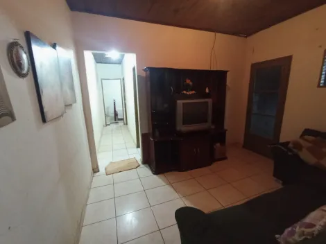 imagem 1 - CHÁCARA À VENDA imagem 1 - CHÁCARA À VENDA