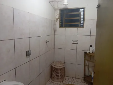 imagem 5 - CHÁCARA À VENDA imagem 5 - CHÁCARA À VENDA
