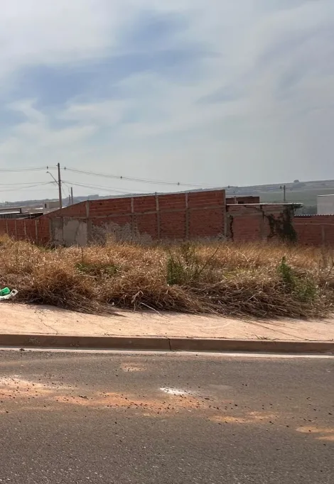 imagem 1 - Terreno - Padrão imagem 1 - Terreno - Padrão
