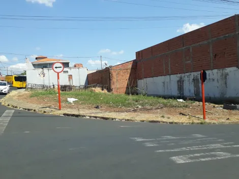 imagem 1 - Terreno - Padrão imagem 1 - Terreno - Padrão