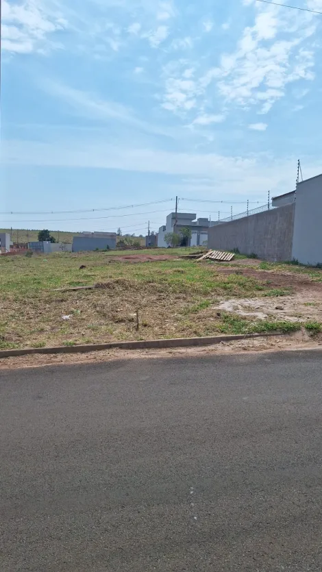 imagem 4 - Terreno - Padrão imagem 4 - Terreno - Padrão