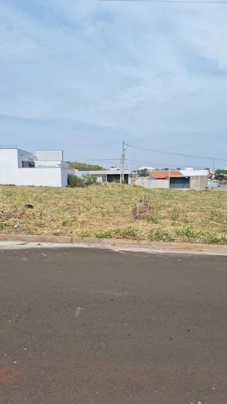 imagem 4 - Terreno - Padrão imagem 4 - Terreno - Padrão