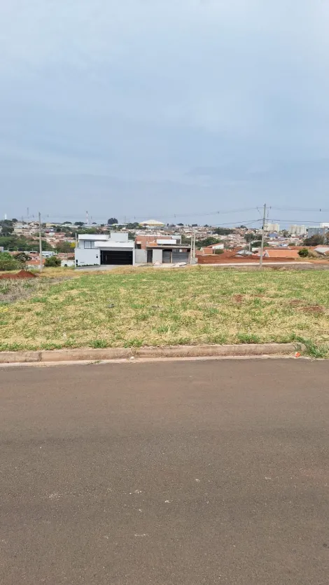 imagem 4 - Terreno - Padrão imagem 4 - Terreno - Padrão