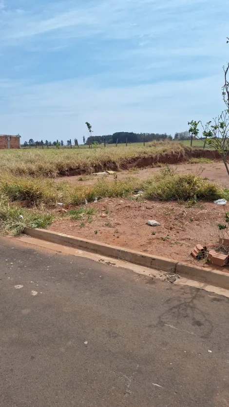 imagem 5 - Terreno - Padrão imagem 5 - Terreno - Padrão