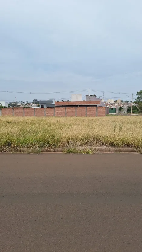 imagem 4 - Terreno - Padrão imagem 4 - Terreno - Padrão