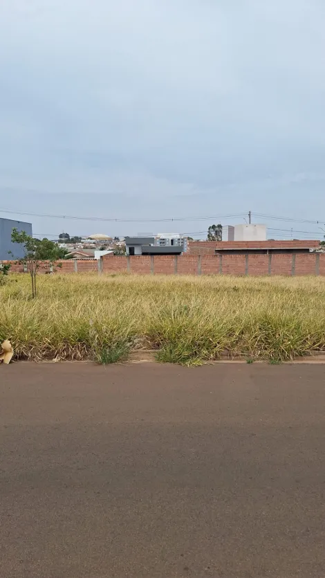 imagem 4 - Terreno - Padrão imagem 4 - Terreno - Padrão