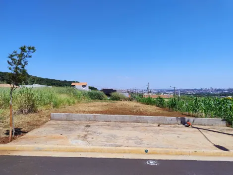 imagem 3 - Terreno de 300m² à venda - Recreio Anhangüera imagem 3 - Terreno de 300m² à venda - Recreio Anhangüera