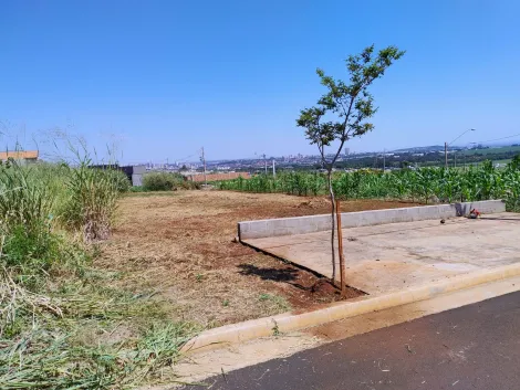 imagem 5 - Terreno de 300m² à venda - Recreio Anhangüera imagem 5 - Terreno de 300m² à venda - Recreio Anhangüera
