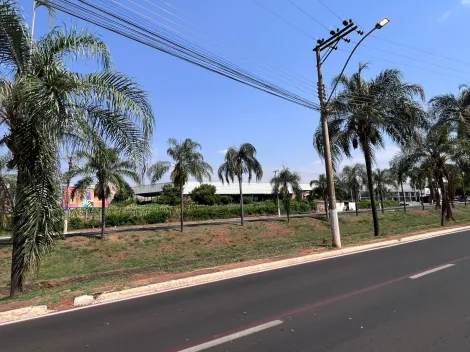 imagem 3 - Terreno de 20.000m² em área urbana com área construída de 3.800m² - Avenida Carlos Berchieri/Jaboticabal imagem 3 - Terreno de 20.000m² em área urbana com área construída de 3.800m² - Avenida Carlos Berchieri/Jaboticabal