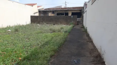 imagem 2 - excelente lote e localização em São Carlos - SP imagem 2 - excelente lote e localização em São Carlos - SP