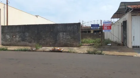 imagem 3 - excelente lote e localização em São Carlos - SP imagem 3 - excelente lote e localização em São Carlos - SP