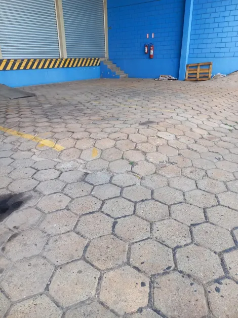 imagem 5 - Galpão à Venda e locação com 600 m² de construção no Jardim Eulina em Campinas, SP. imagem 5 - Galpão à Venda e locação com 600 m² de construção no Jardim Eulina em Campinas, SP.