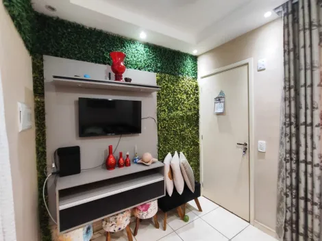 imagem 1 - Apartamento de 48m² com 02 quartos disponível para venda - Jardim Califórnia imagem 1 - Apartamento de 48m² com 02 quartos disponível para venda - Jardim Califórnia