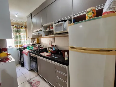 imagem 3 - Apartamento de 48m² com 02 quartos disponível para venda - Jardim Califórnia imagem 3 - Apartamento de 48m² com 02 quartos disponível para venda - Jardim Califórnia
