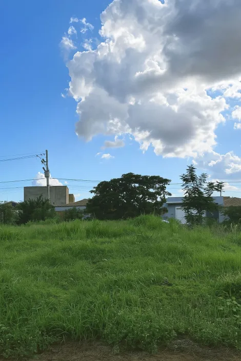 imagem 1 - Terreno de 241m² à venda - Jardim Cristo Redentor imagem 1 - Terreno de 241m² à venda - Jardim Cristo Redentor