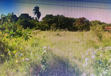 imagem 2 - Terreno - Área imagem 2 - Terreno - Área