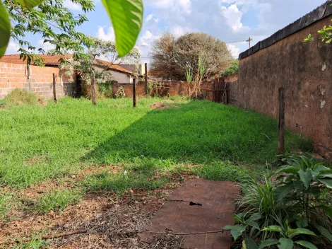 imagem 5 - Excelente oportunidade de investimento! Casa com ótima localização, no centro de Américo Brasiliense. imagem 5 - Excelente oportunidade de investimento! Casa com ótima localização, no centro de Américo Brasiliense.