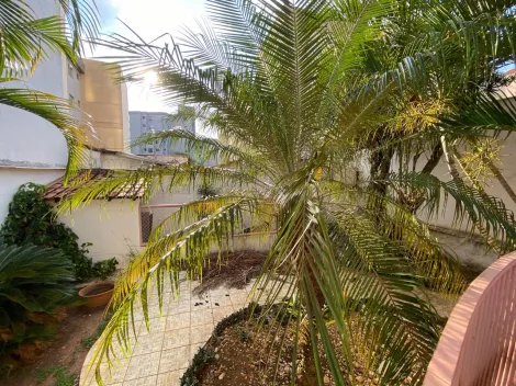 imagem 5 - Excelente imóvel no Jardim Lutfala em São Carlos - SP imagem 5 - Excelente imóvel no Jardim Lutfala em São Carlos - SP