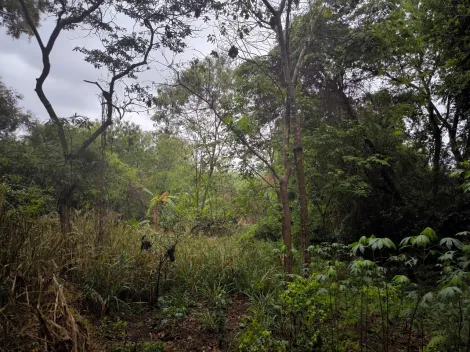 imagem 5 - Área localizada na Vila faria fácil acesso ao centro da cidade de São Carlos. imagem 5 - Área localizada na Vila faria fácil acesso ao centro da cidade de São Carlos.