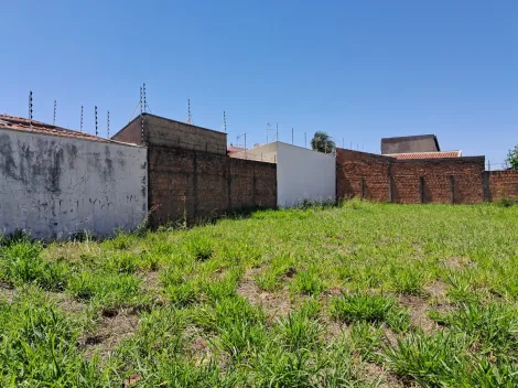 imagem 5 - Terreno com ótima localização, pronto para construir. imagem 5 - Terreno com ótima localização, pronto para construir.
