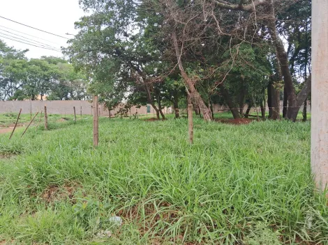 imagem 4 - Terreno - Área imagem 4 - Terreno - Área